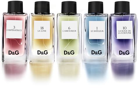 perfume d&g|d and g fragrances.